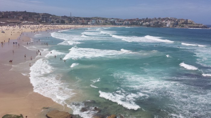 Bondi Beach