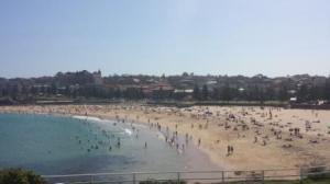coogee beach