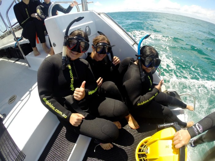 rockingham wild encounters