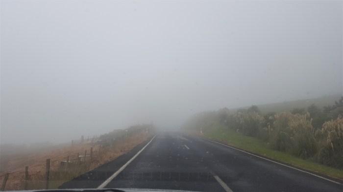 Dunedin. New Zealand