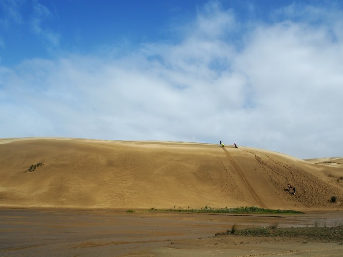 Te Paki Sand Dunes at Cape Reinga