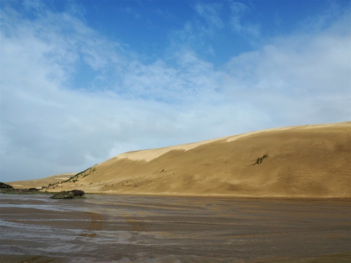 Te Paki Sand Dunes