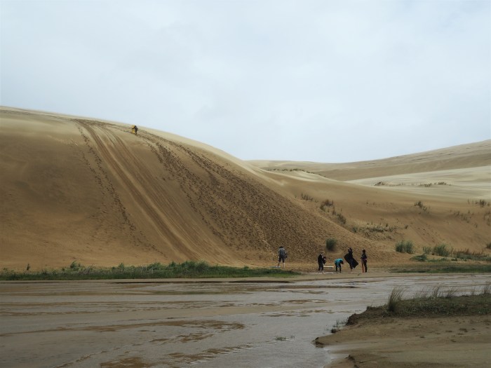 Te Paki Sand Dunes at Cape Reinga