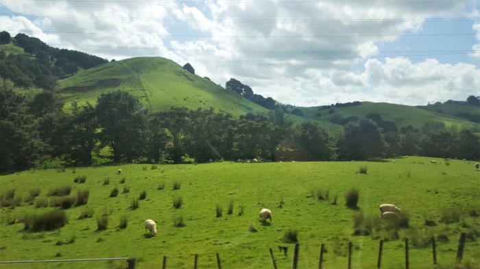 Bus Ride to Auckland