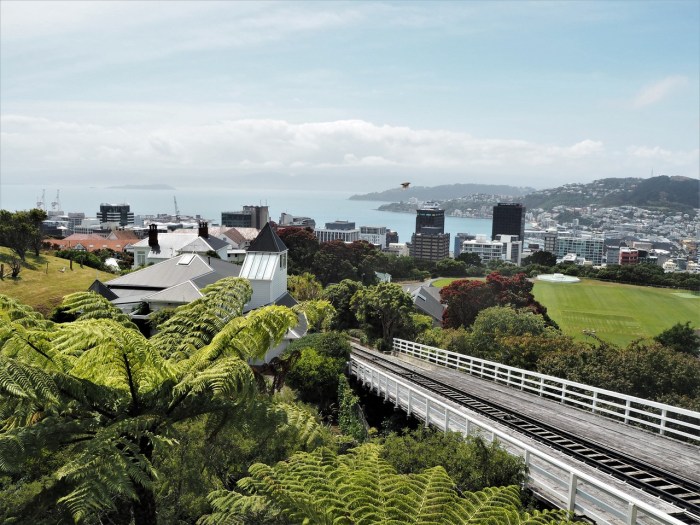 View of Wellington from Cable Car