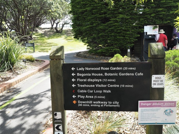 Wellington Botanic Garden, New Zealand